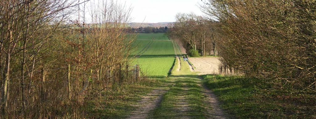 Farm-walks-web Farm walks